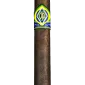 CAO Brazilia Amazon